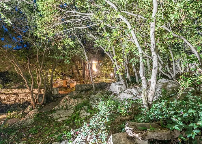Regina -hidden Eden With Treehouse & Heated Pool Villa *