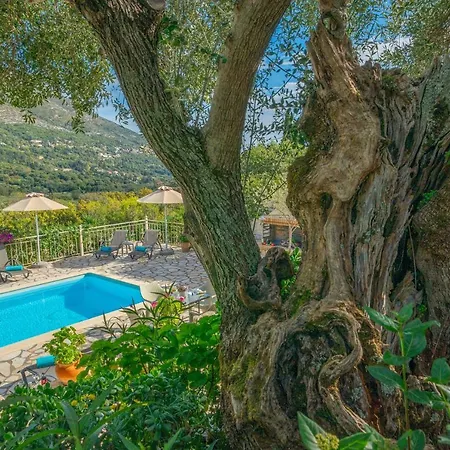 Regina -hidden Eden With Treehouse & Heated Pool Agia Efimia