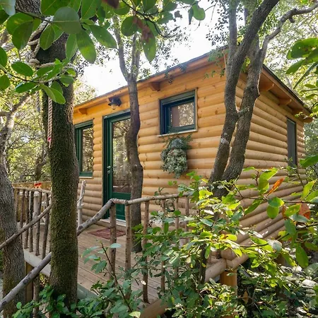 Villa Regina -hidden Eden With Treehouse & Heated Pool