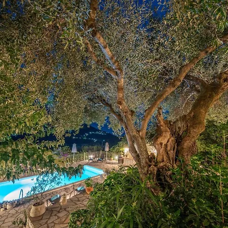 Villa Regina -hidden Eden With Treehouse & Heated Pool