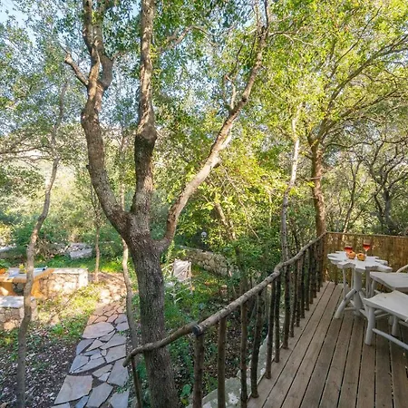 Villa Regina -hidden Eden With Treehouse & Heated Pool *