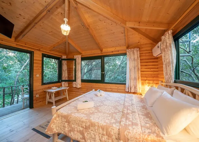 Regina -hidden Eden With Treehouse & Heated Pool * איה אפימיה
